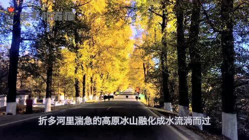 娱乐吃瓜君的原创,吃瓜君带你领略幕后风云